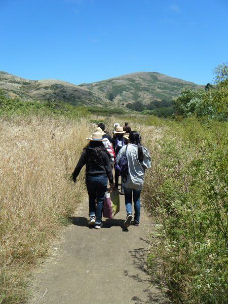 Up the trail