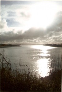 Eel River - sunlight