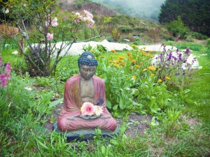 Buddha in field
